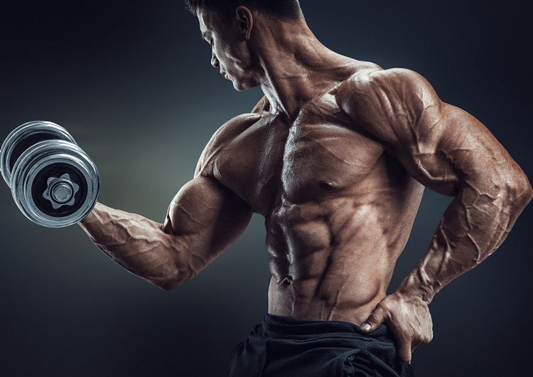 Дія бустерів тестостерону на організм людини Дія бустерів тестостерону на організм людини