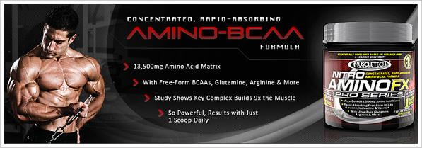Nitro Amino Fx BCAA аминокислоты