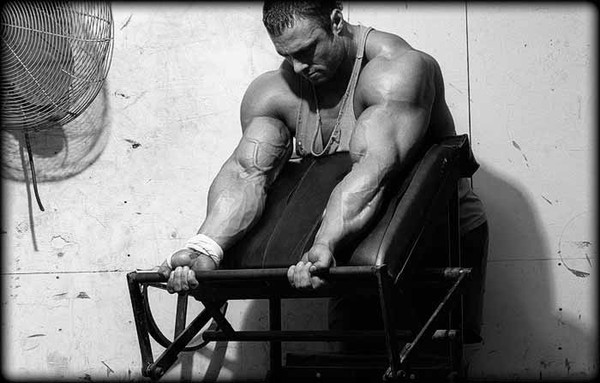 universal utlra whey pro природная накачка мышц