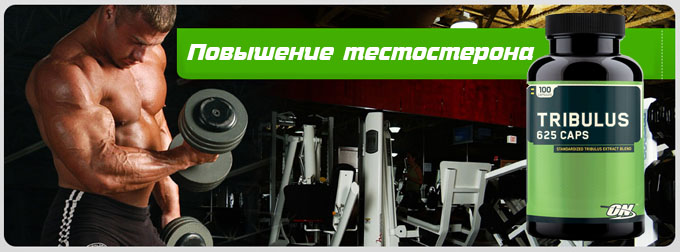Повышение тестостерона с помощью Tribulus 625